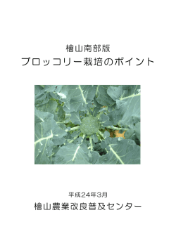 ブロッコリー栽培のポイント