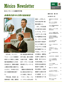 M&eacute;xico Newsletter