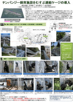 e144. チンパジー飼育施設をむすぶ連結ケージの導入