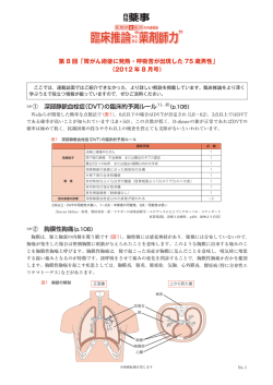 詳しい解説 - MagPlus