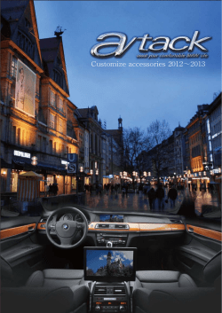 Customize accessories 2012&sim;2013