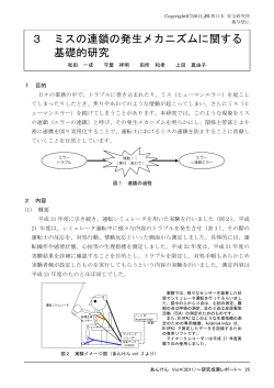 3 ミスの連鎖の発生メカニズムに関する基礎的研究
