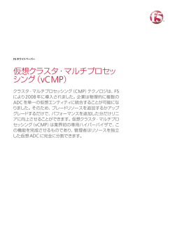 仮想クラスタ・マルチプロセッ シング（vCMP）