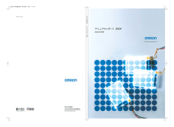 アニュアルレポート 2004