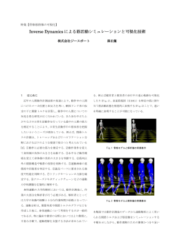 Inverse Dynamics による筋活動シミュレーションと可視化