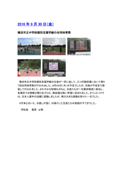 529KB pdfファイル