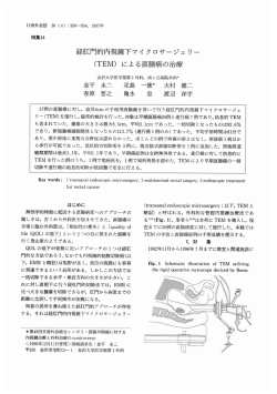 経肛門的内視鏡下マイクロサージェリー (TEM)に よる直腸癌の治療
