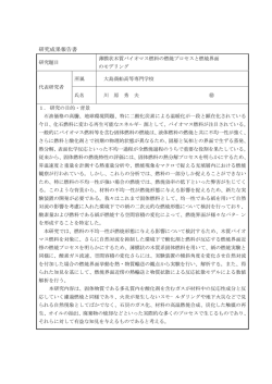 薄膜状木質バイオマス燃料の燃焼プロセスと燃焼界面のモデリング(PDF