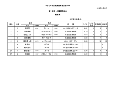 第1競技 小障害飛越C 結果表