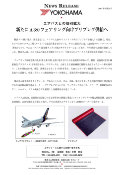 PDF版（241KB）