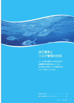 自己資本と リスク管理の状況