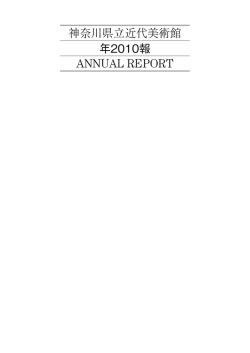年報 2010年度（PDF/3.89MB）