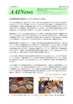 生活環境改善が必要なモーリタニアのオアシス生活