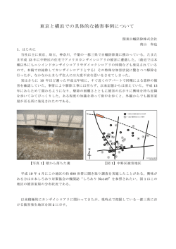 東京と横浜での具体的な被害事例について