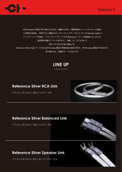 CH Precision Reference Silve Link cable 資料