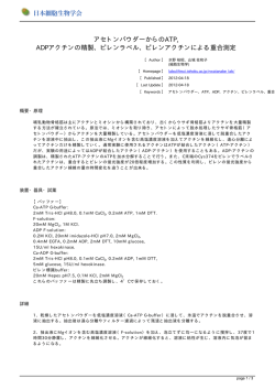 PDF版をダウンロード