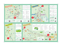 白金 ・青い池コース - 美瑛町観光情報サイト