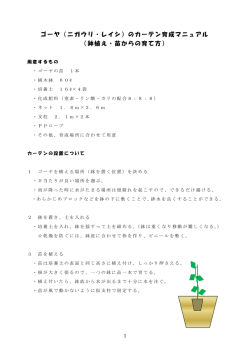 ゴーヤのカーテン育成マニュアル（PDF：144KB）