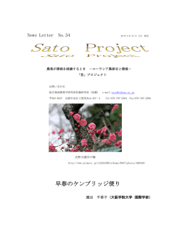 早春のケンブリッジ便り - 総合地球環境学研究所