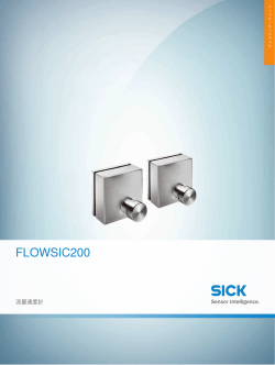 FLOWSIC200, オンラインデータシート