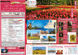 Page 1 - P642Y(ェコノミークラス利用プラン P642C(ビジネスクラス利用