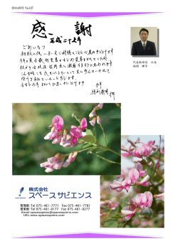 私のお尻のサイト