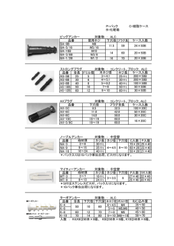 P=パック C=樹脂ケース B=化粧箱 ビッグアンカー 対象物 ： ALC 下穴径