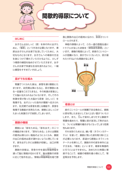 間歇的導尿について （898KB）