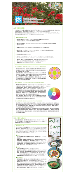 今度の休日は、ちょっとなごめて