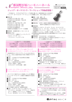 30ページ [246KB pdfファイル]