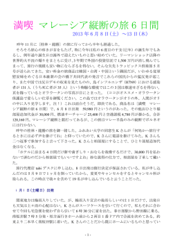 満喫 マレーシア縦断の旅 - ふれあい大学 26期会