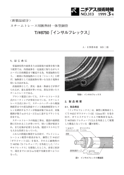 T/#8750「インサルフレックス」 1999 3 NO.313