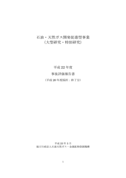 石油・天然ガス開発促進型事業 （大型研究・特別研究）