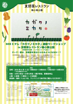 NHK E テレ「カガクノミカタ」