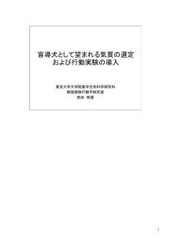 本発表の詳細