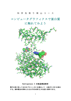 コンピュータグラフィクスで蛋白質 に触れてみよう