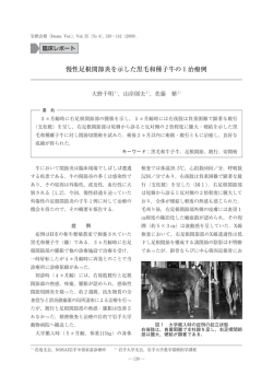 慢性足根関節炎を示した黒毛和種子牛の1治療例