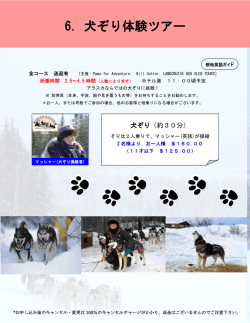 6．犬ぞり体験ツアー