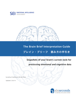 The Brain Brief Interpretation Guide ブレイン・ブリーフ