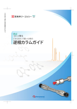 で困った時の逆相カラムガイド