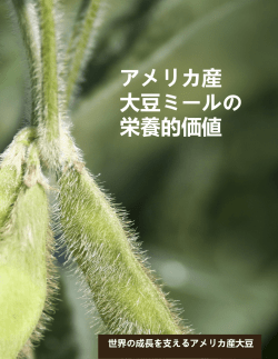 アメリカ産 大豆ミールの 栄養的価値