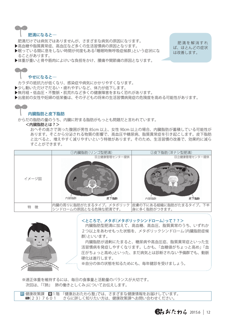 肥満になると やせになると 内臓脂肪と皮下脂肪