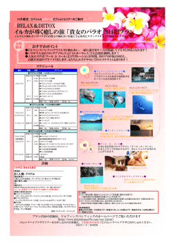 イルカが導く癒しの旅 「貴女のパラオ」3日間プラン