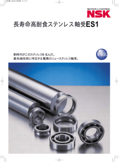 長寿命高耐食ステンレス軸受ES1
