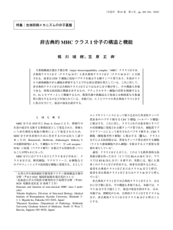 非古典的 MHC クラス I 分子の構造と機能