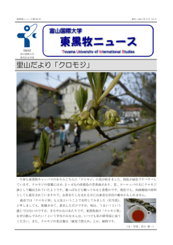 里山だより「クロモジ」