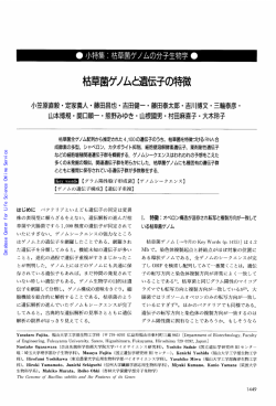 蛋白質核酸酵素:枯草菌ゲノムと遺伝子の特徴