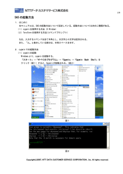 SAS の起動方法
