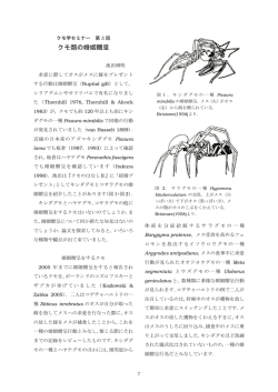 クモ類の婚姻贈呈