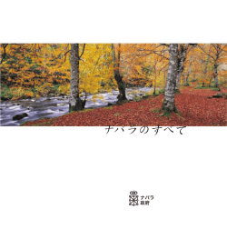 ナバラのすべて - Gobierno